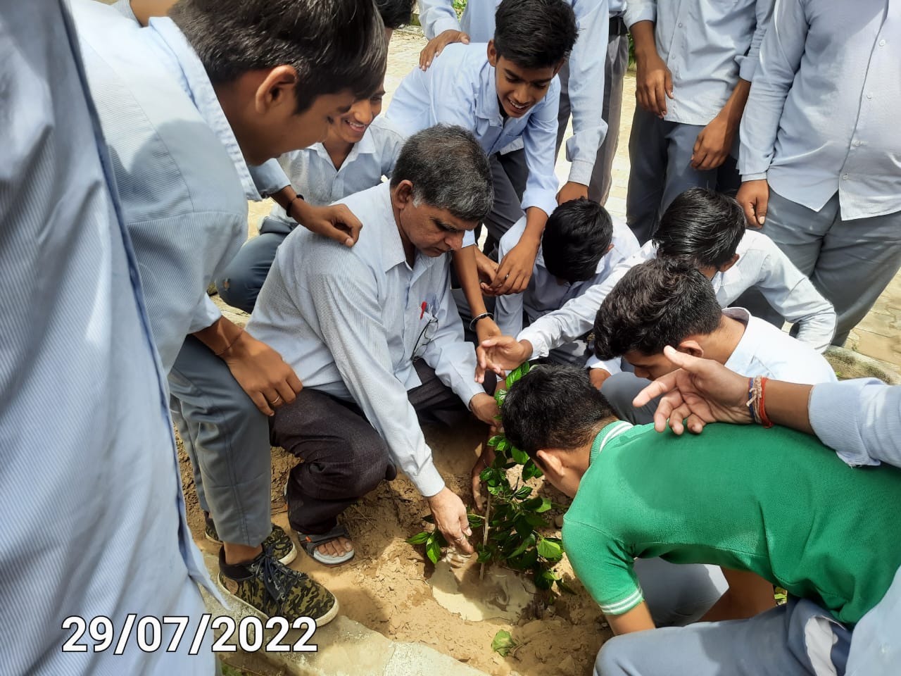 Plantation At School